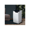 Мобильный кондиционер ELECTROLUX BLISS ART EACM-12 GT/N3