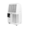 Мобильный кондиционер Electrolux LOFT EACM-14 CLN/N6 2.0 EU